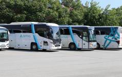 Mini IMG 6145